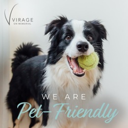 Life at Virage is a ball for you and your pet. We're proud to be pet-friendly. 🎾 Instagram post from @virageluxuryapartments on December 06, 2024 00:00:00am